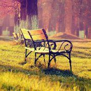 andy_yyyy的个人资料头像