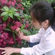 amrot的个人资料头像