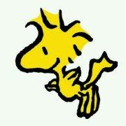 Arkadia_的个人资料头像