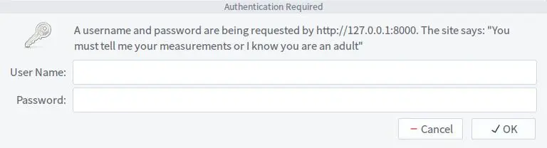 basic-auth