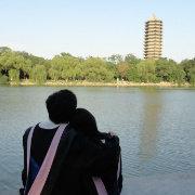 amberkira的个人资料头像