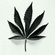 星空下的呢喃的个人资料头像