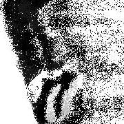 芳华南浔的个人资料头像