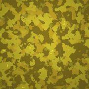 超级兵团帮的个人资料头像