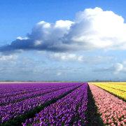 武林渔樵散人的个人资料头像