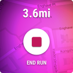 interactive_run