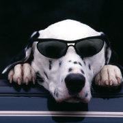 abcdfdhh的个人资料头像