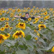 tianyi世界的个人资料头像