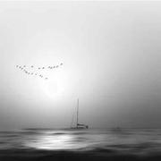 林井安的个人资料头像