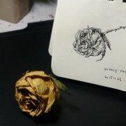 Leftmyanklebare的个人资料头像