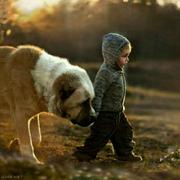 gjt的个人资料头像