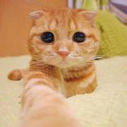 梅迎朝的个人资料头像