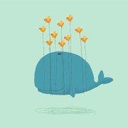 ceylog的个人资料头像