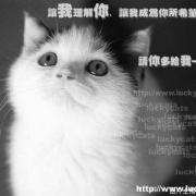 讨伐贱人大本营的个人资料头像