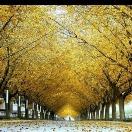 周维明的个人资料头像