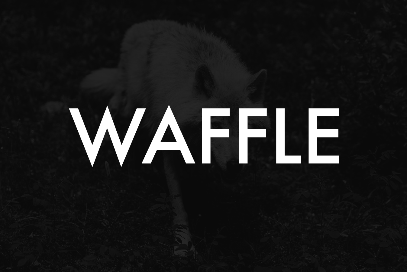 Futura submitted by Josh Deckman, Director of Design at Speed Digital