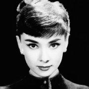 执风独影的个人资料头像