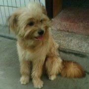 美乃滋酱的个人资料头像