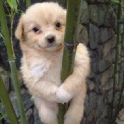 Adrian____的个人资料头像