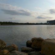 舒盼unimz的个人资料头像