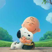 shuima101的个人资料头像