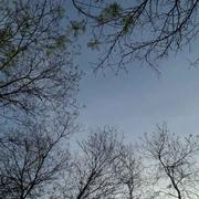 传星的个人资料头像