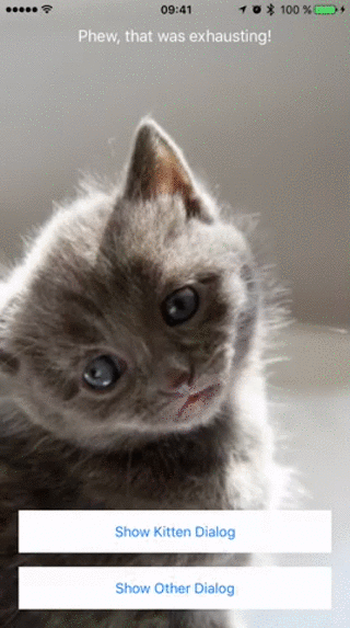 PopupDialog example two PopupDialog example two