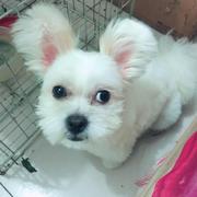 红桃五的个人资料头像