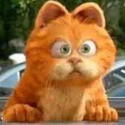 张俊博的马甲的个人资料头像