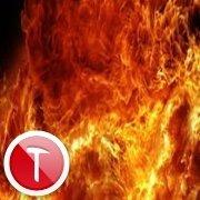 iamshiwei的个人资料头像