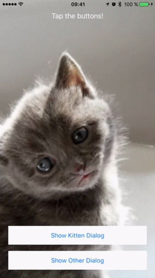 PopupDialog example one PopupDialog example one