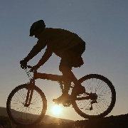 改名刀刀狗的个人资料头像