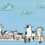 Martian12445的个人资料头像