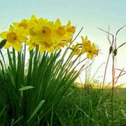 刘忙的个人资料头像