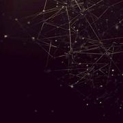 louiswang的个人资料头像