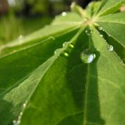 周平的个人资料头像