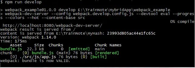 执行 npm run develop