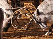 王穎的个人资料头像