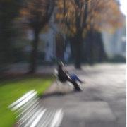 Eluoy的个人资料头像
