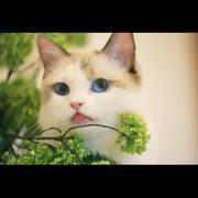 晓林的个人资料头像