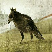 lerPlus的个人资料头像