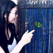 蕊蕊的个人资料头像