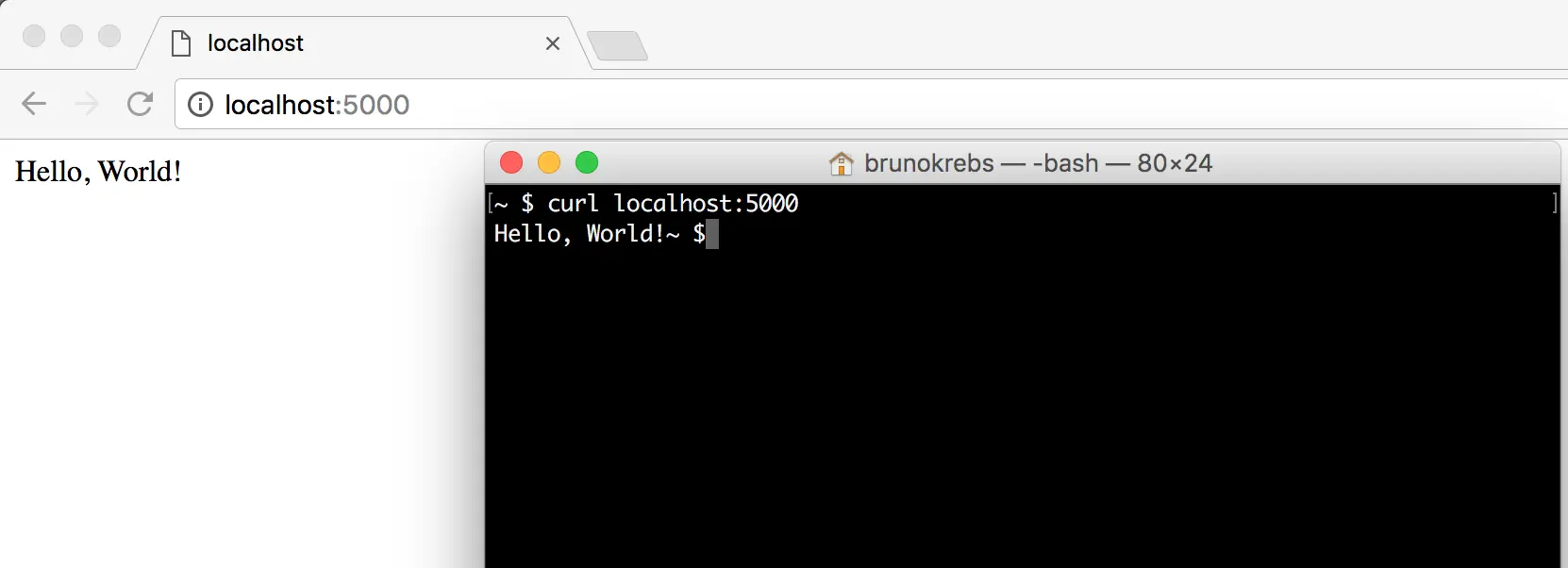 Hello world with Flask