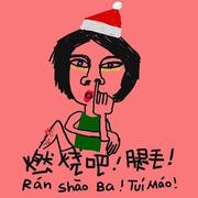 燃烧的腿毛的个人资料头像