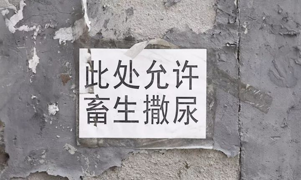 fb7a04614e1a4971926ca3d2fff8c8a7