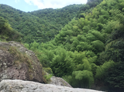 狂飙的蜗牛的个人资料头像