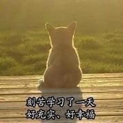 阿瞳的个人资料头像