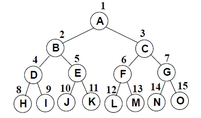 full_tree