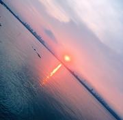 warriorml的个人资料头像