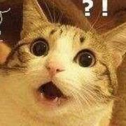 nigulasHu的个人资料头像